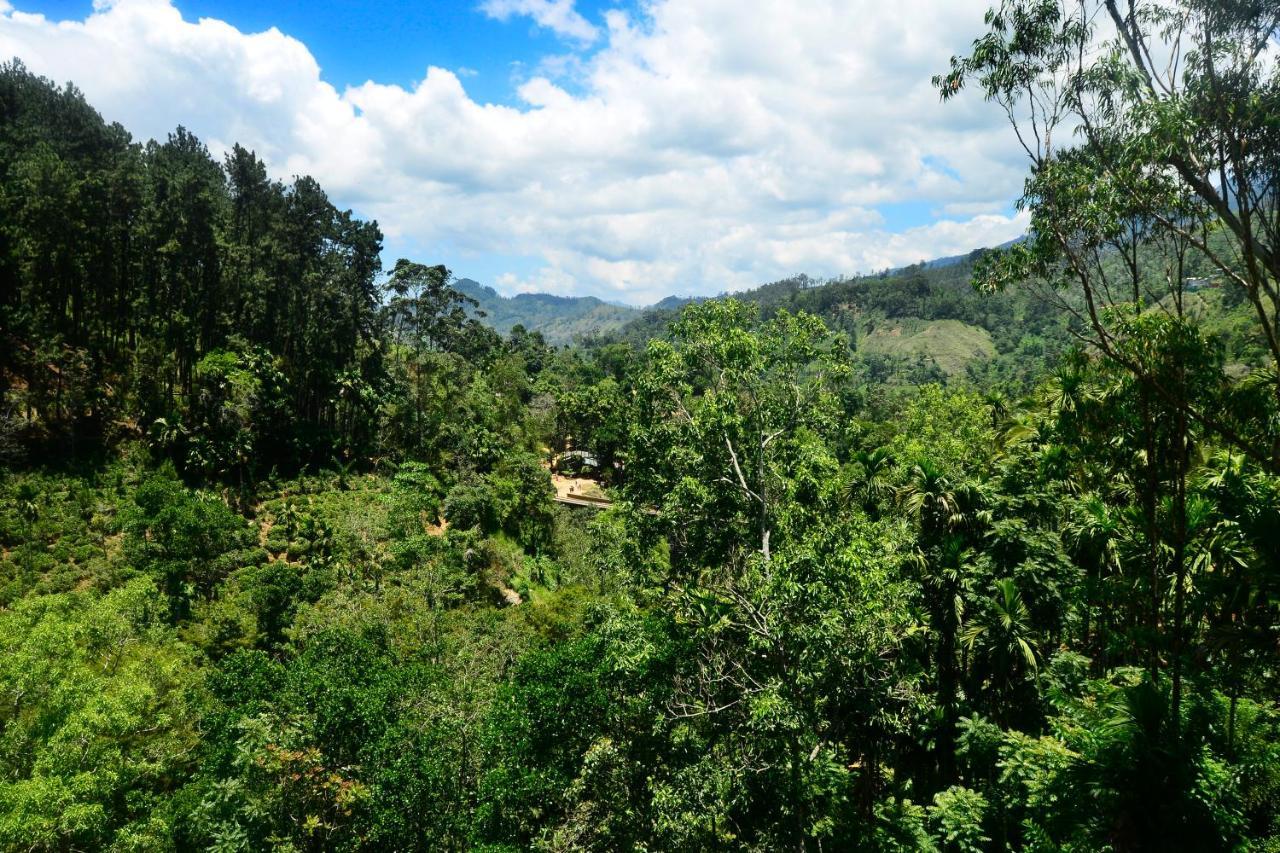 Bed and Breakfast High Grade Ella Esterno foto